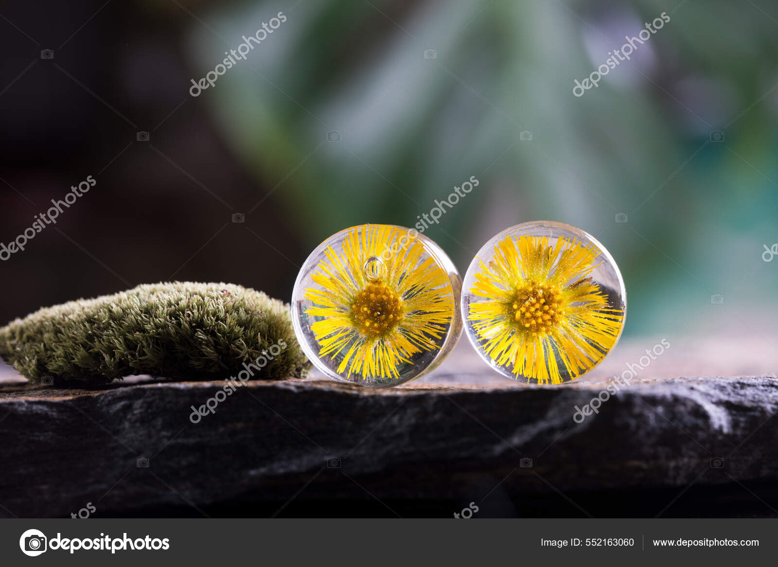 Dried Real Flower Ear Plugs Magic Resin Gauges Tunnels Eco Stock Photo by  ©nanka-photo 552163060